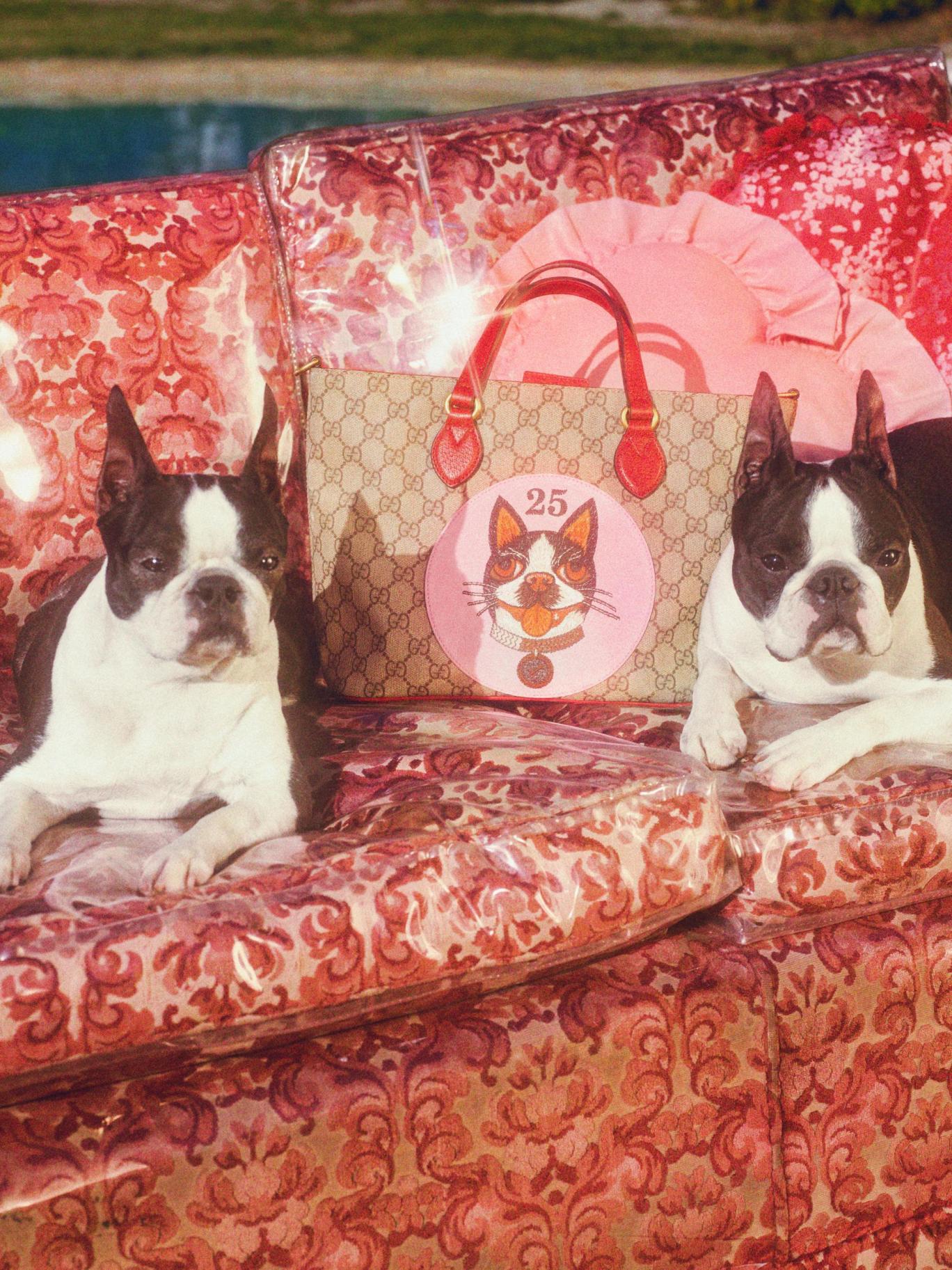Gucci Drops Dog-Themed Chinese New Year Capsule